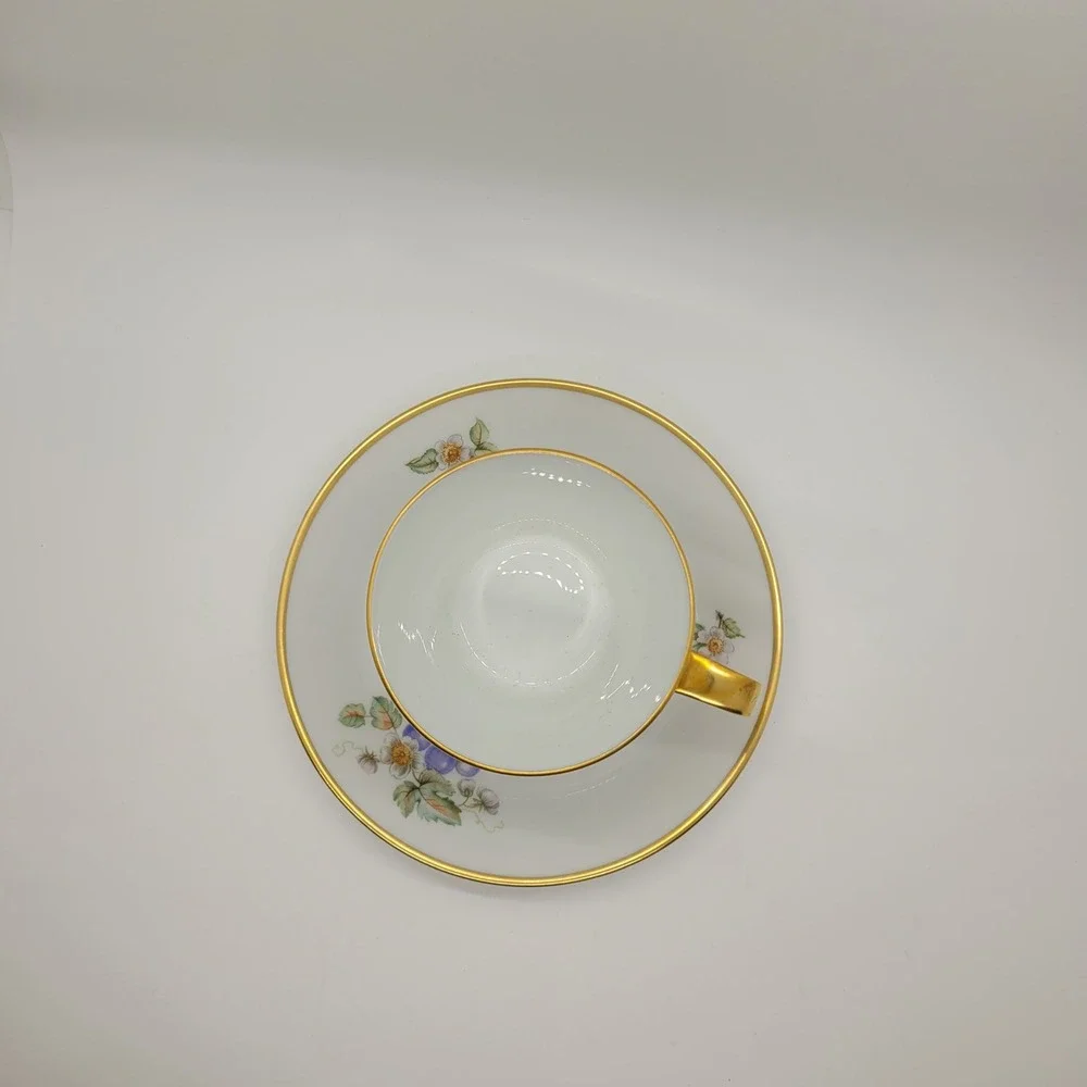 Hutschenreuther‎ Noblesse Tea Cup Saucer Set Germany Grapes Gold Trim Porcelain